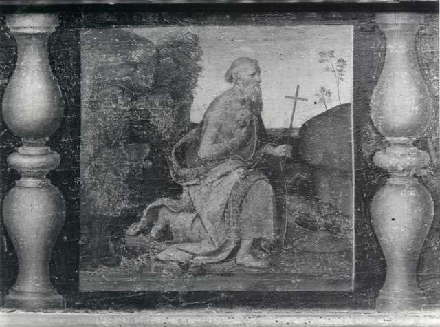 Artini, Luigi — Carli Raffaello dei - sec. XVI - San Girolamo — particolare